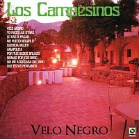 Los Campesinos – Velo Negro