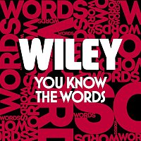 Wiley – You Know The Words