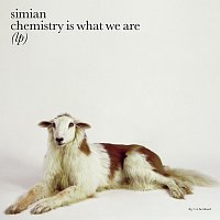 Simian – Chemistry Is What We Are