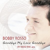 Goodbye My Love Goodbye (Jay Neero Remix 2012)