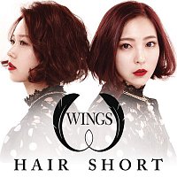 Wings – Hair Short