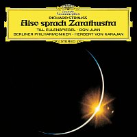 Přední strana obalu CD Strauss, R.: Also sprach Zarathustra; Till Eulenspiegel; Don Juan; Salome's Dance Of The Seven Veils