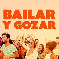 Různí interpreti – Bailar Y Gozar