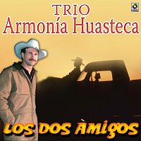 Trío Armonia Huasteca – Los Dos Amigos