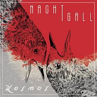 Kosmos – Nachtigall