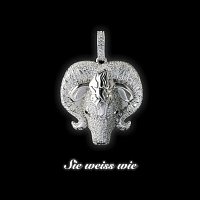 Fler – SIE WEISS WIE