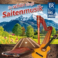 Přední strana obalu CD BR Heimat - So schön klingt Saitenmusik