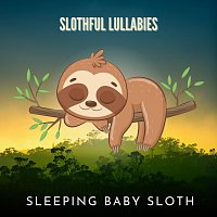 Sleeping Baby Sloth – Slothful Lullabies