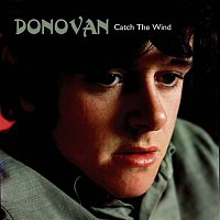 Donovan – Catch the Wind