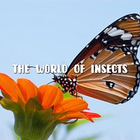 Shin Hong Vinh, LalaTv – The World Of Insects