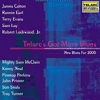 Různí interpreti – Telarc's Got More Blues