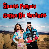 Saare Punjabi Ganya Da Mixture (feat. Guru Randhawa)