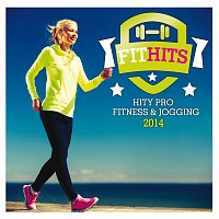 Fit Hits 2014