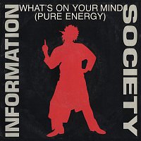 Information Society – What's On Your Mind [Pure Energy] [Pure Energy Radio Edit] / What's On Your Mind [Pure Energy] [Club Radio Edit] [Digital 45]