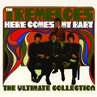 The Tremeloes – Here Comes My Baby : The Ultimate Collection