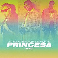 Fuego, Reekado Banks, TRACKDILLA – Princesa [Remix]