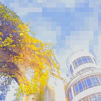 Přední strana obalu CD Not Puzzled