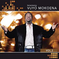 Vuyo Mokoena, Various  Artists – Vuyo Mokoena Remembering Vol. 2