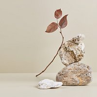 Přední strana obalu CD Stillness