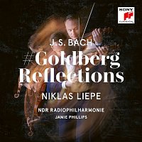 Přední strana obalu CD GoldbergReflections