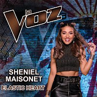 Sheniel Maisonet – Elastic Heart [La Voz US]