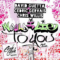 David Guetta & Cedric Gervais & Chris Willis – Would I Lie To You (Cash Cash Remix)
