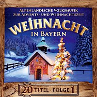Různí interpreti – Weihnacht in Bayern - Instrumental - Alpenlandische Volksmusik zur Advents- und Weihnachtszeit