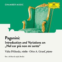 Paganini: Introduction and Variations on "Nel cor piu non mi sento", MS 44 (Arr. by Váša Příhoda)