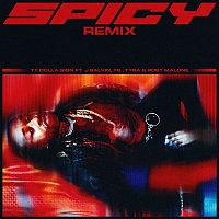 Ty Dolla $ign – Spicy (feat. J Balvin, YG, Tyga & Post Malone) [Remix]