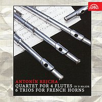 Různí interpreti – Rejcha: Kvartet pro 4 flétny D dur, 6 trií pro lesní rohy MP3