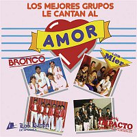 Various  Artists – Los Mejores Grupos le Cantan al Amor