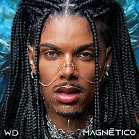 WD – MAGNÉTICO