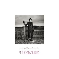 Tingsek – Too Many Feelings At The Same Time [Bonus Version]