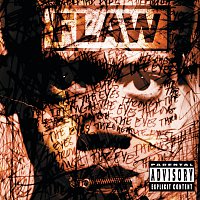 Flaw – Through The Eyes