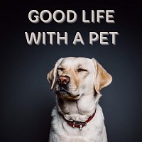 Happy Pet – Good Life with a Pet