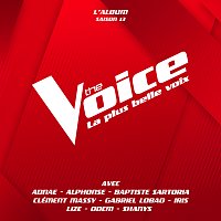 The Voice – The Voice : La plus belle voix (Saison13)