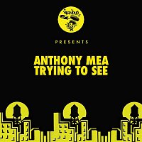 Anthony Mea – Trying To See
