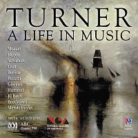 Přední strana obalu CD Turner: A Life In Music