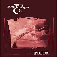 Siouxsie And The Banshees – Tinderbox