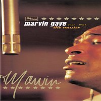 Marvin Gaye – The Master 1961-1984