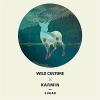 Wild Culture vs. Karmin – Sugar (Remixes)