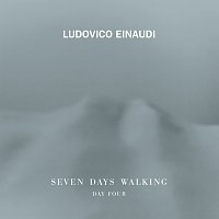 Ludovico Einaudi – View From The Other Side [Day 4]