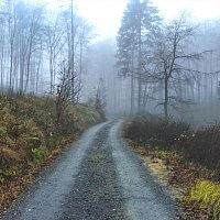 Přední strana obalu CD Bouncy Pride