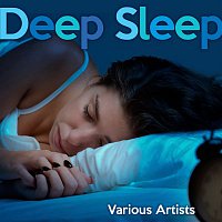 Various Artists.. – Deep Sleep Playlist