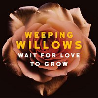 Weeping Willows – Wait for Love to Grow