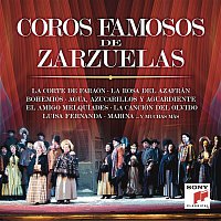 Various  Artists – Coros Famosos de Zarzuelas