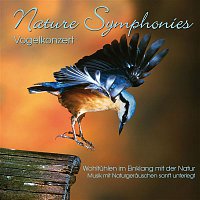 Dave Miller – Nature Symphonies: Vogelkonzert