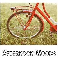 Přední strana obalu CD Afternoon Moods