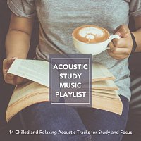 Různí interpreti – Acoustic Study Music Playlist: 14 Chilled and Relaxing Acoustic Tracks for Study and Focus