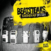 Beatsteaks – KANONEN AUF SPATZEN - 28 Live Songs